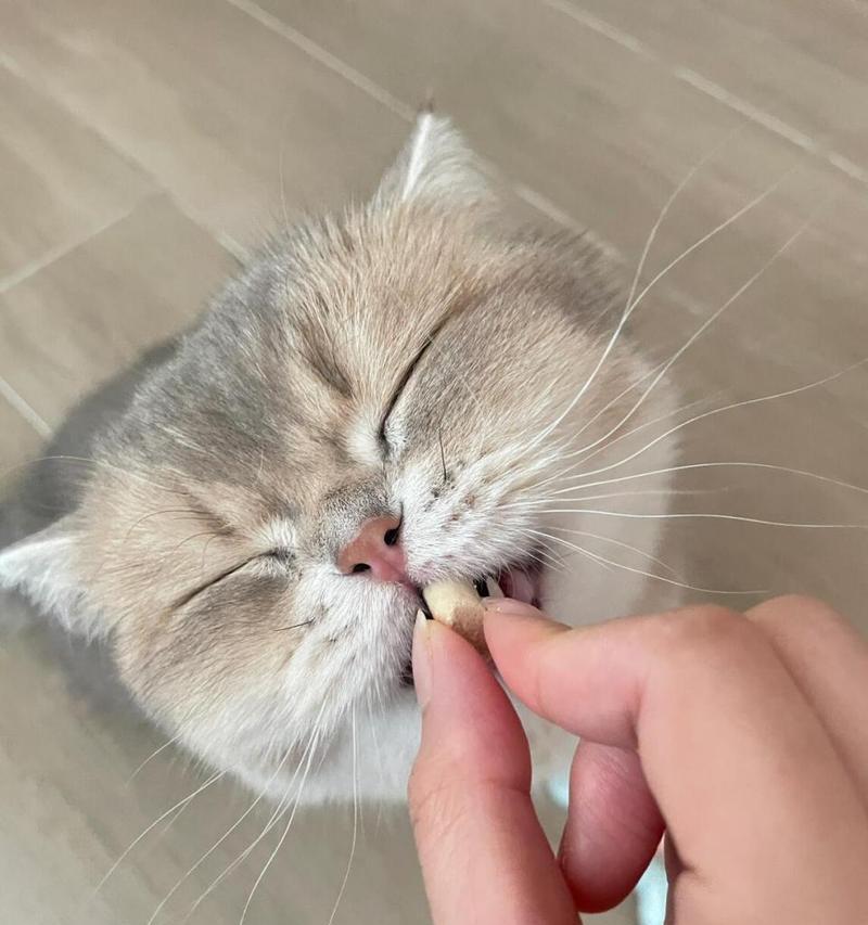 文章详情图片