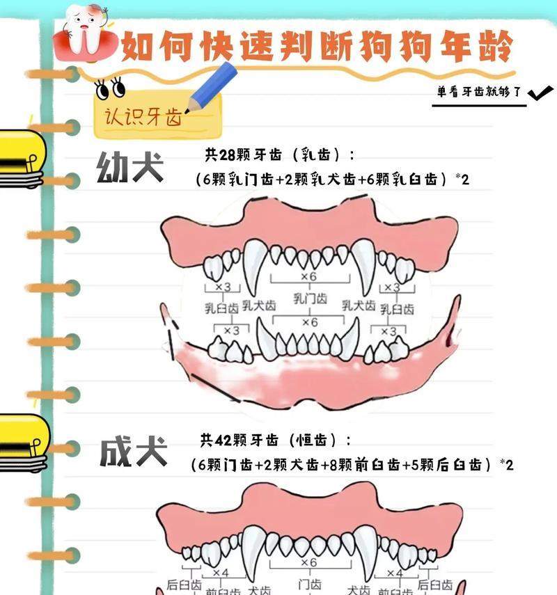 文章详情图片