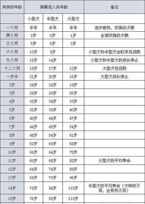 文章详情图片