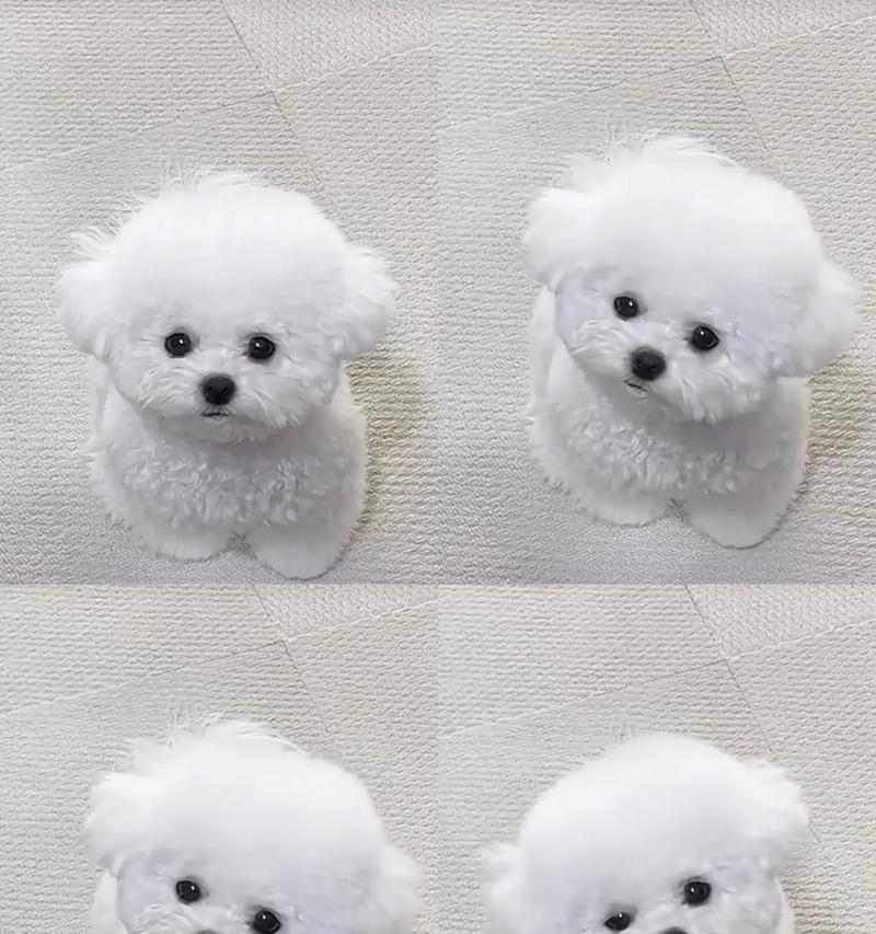 文章详情图片