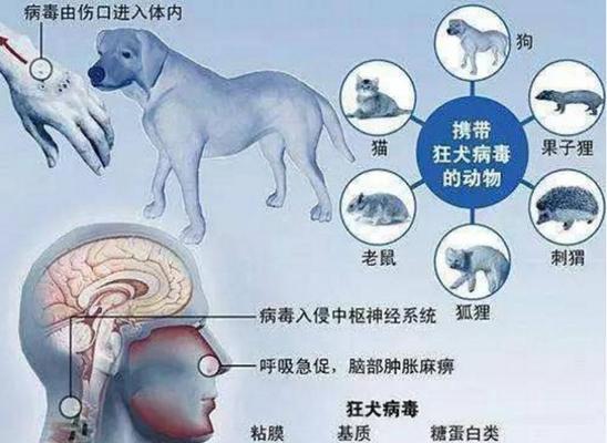 文章详情图片