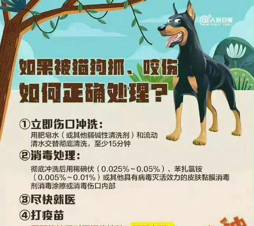 文章详情图片