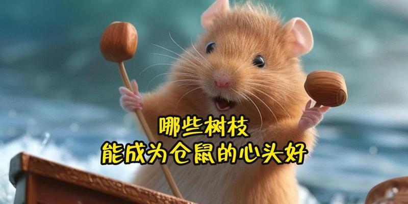 文章详情图片
