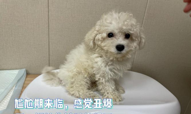 文章详情图片