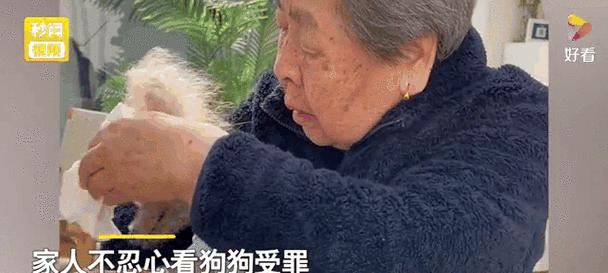 文章详情图片