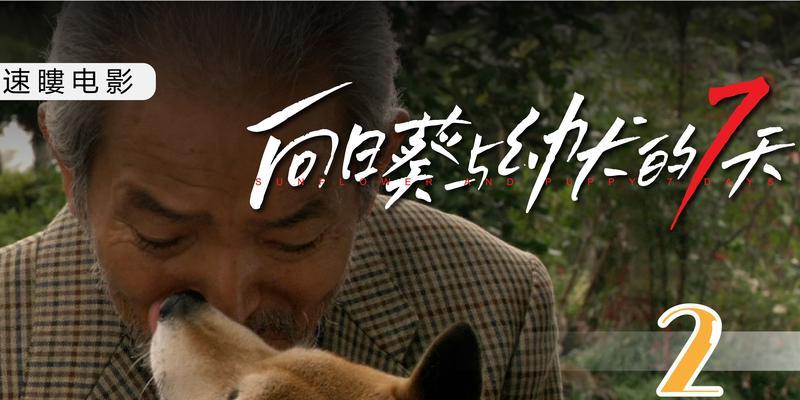 文章详情图片