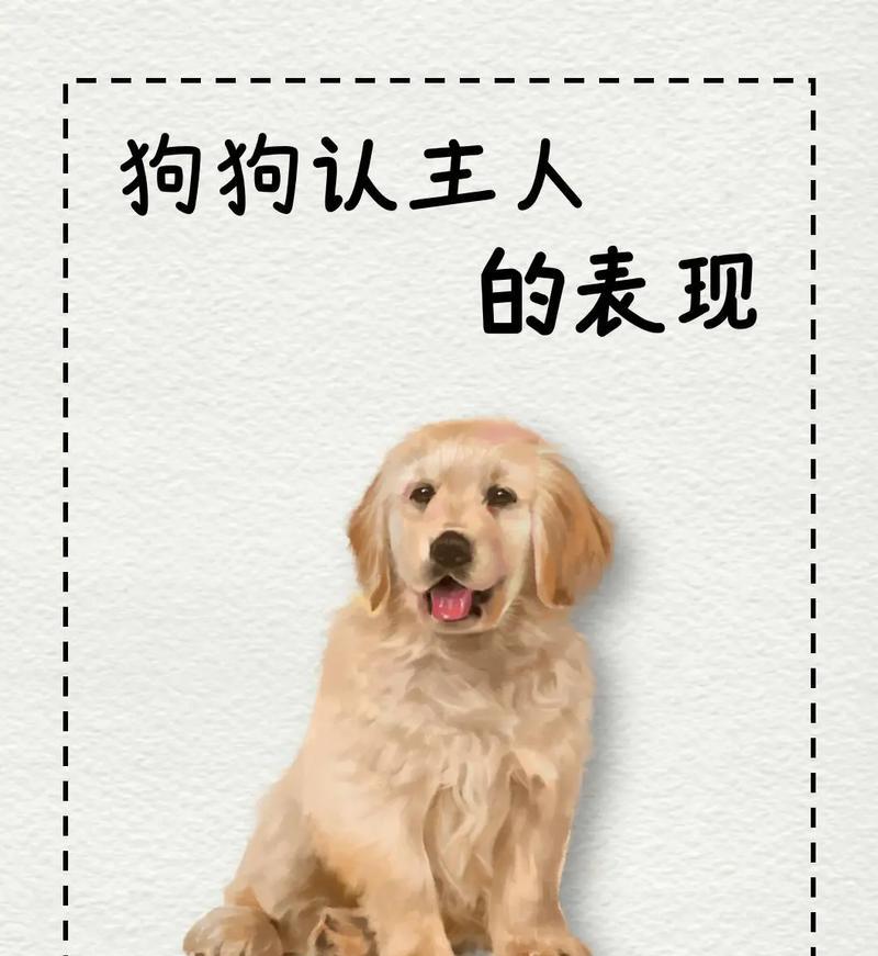文章详情图片