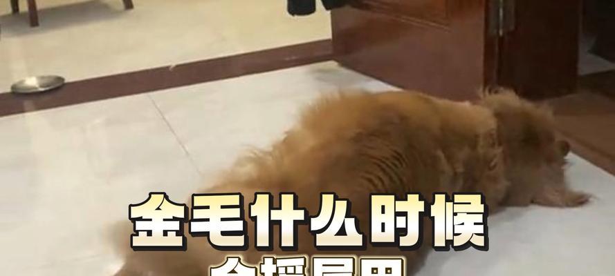 文章详情图片
