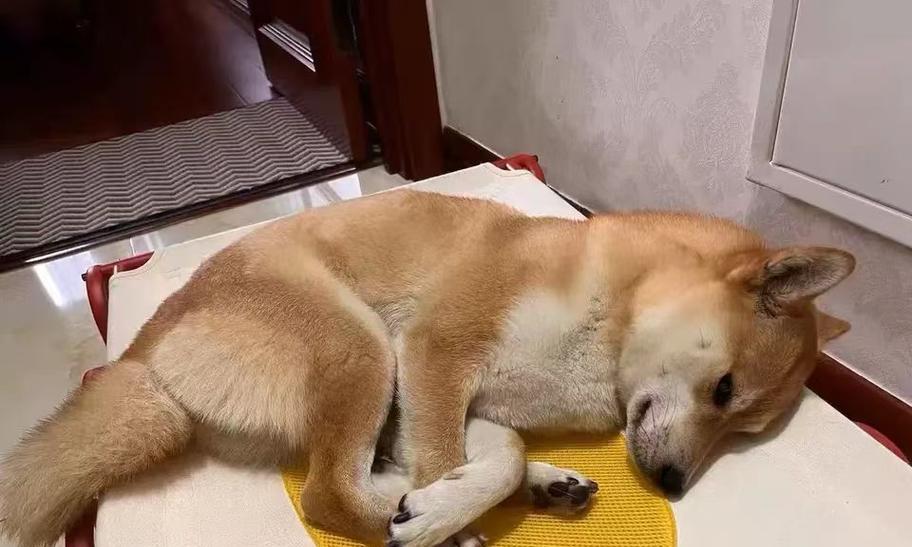 文章详情图片