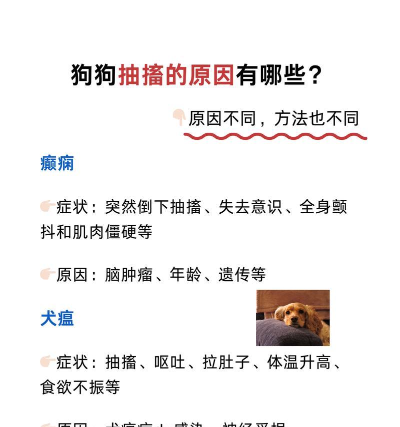 文章详情图片