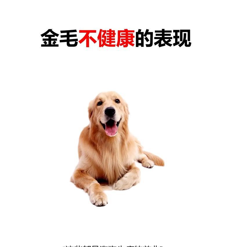 常见狗病分析（哪些品种的狗容易得病？）