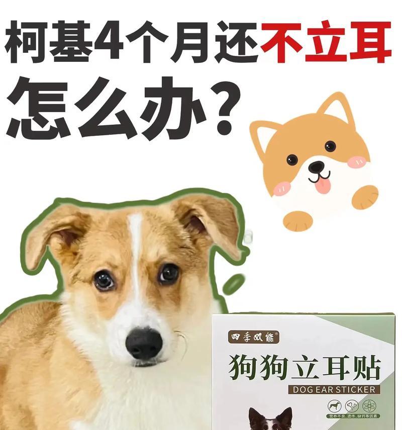 文章详情图片