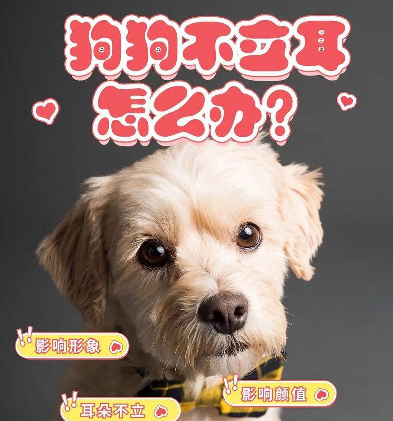 文章详情图片