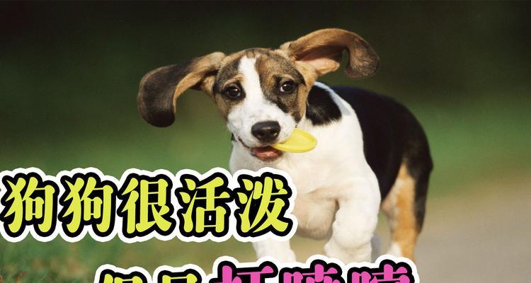 文章详情图片