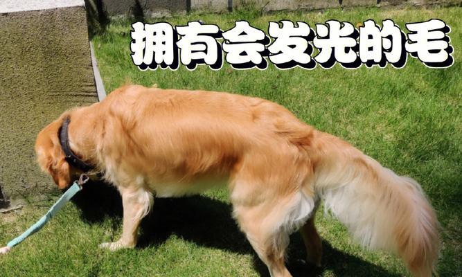 文章详情图片