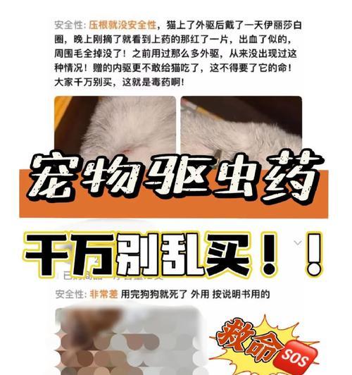 文章详情图片