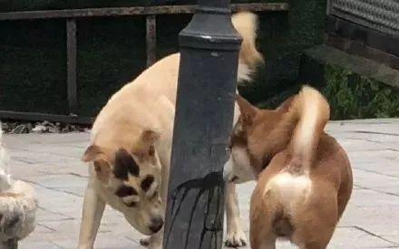 文章详情图片
