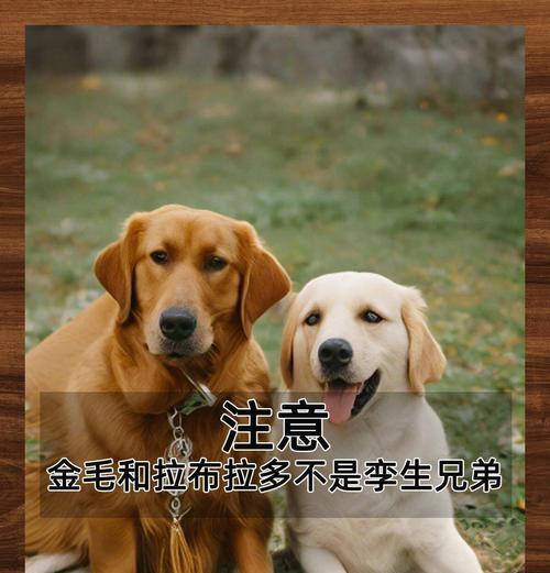 文章详情图片