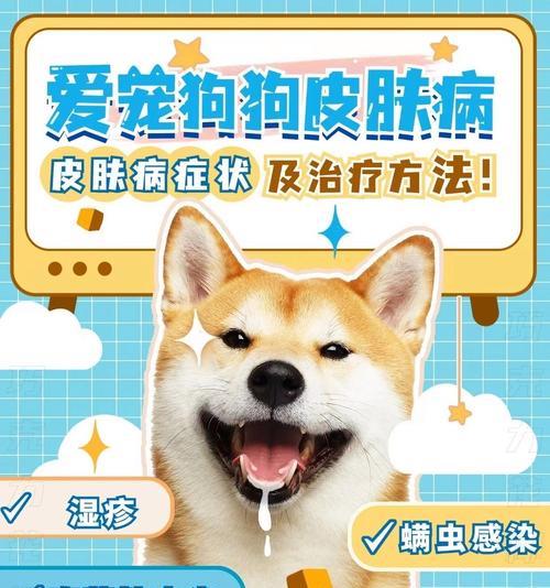 文章详情图片