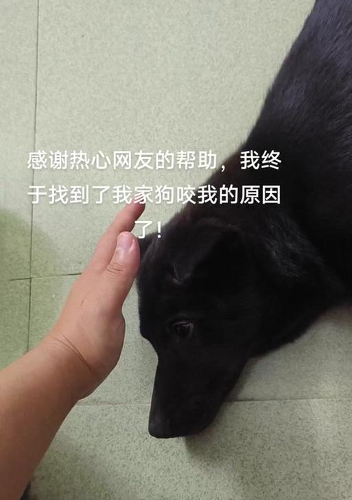 文章详情图片