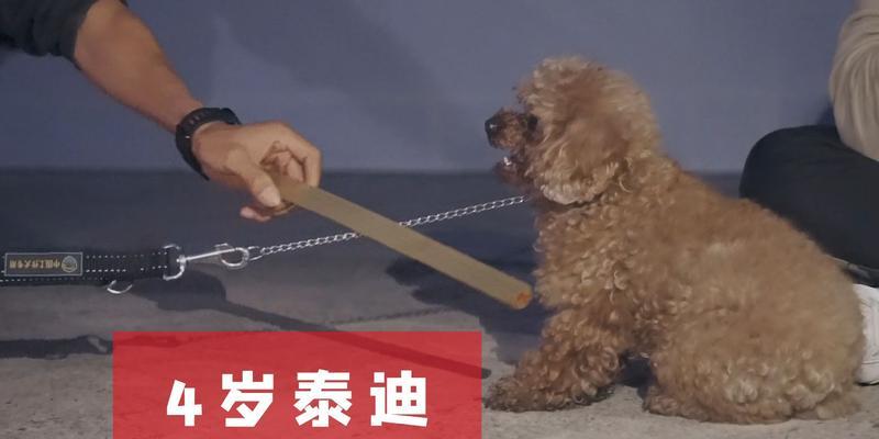 文章详情图片