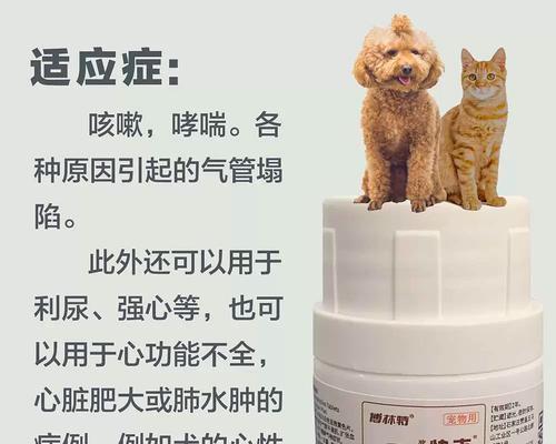 文章详情图片
