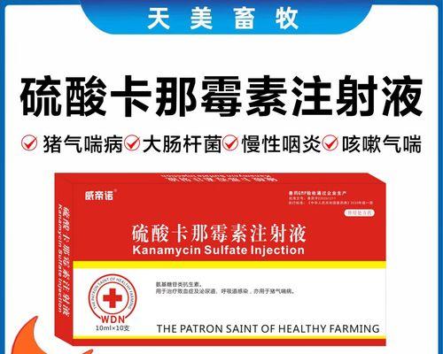 文章详情图片