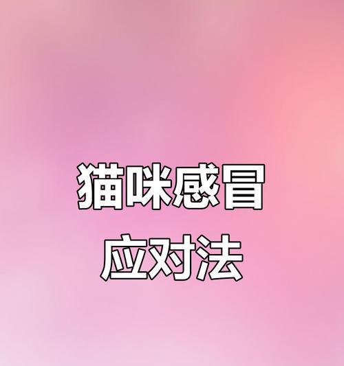 文章详情图片