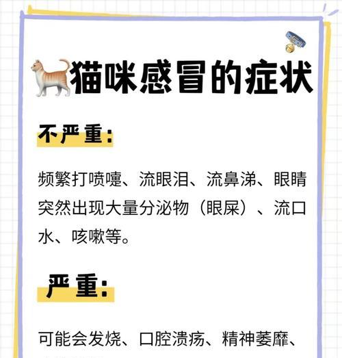 文章详情图片