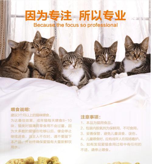 文章详情图片