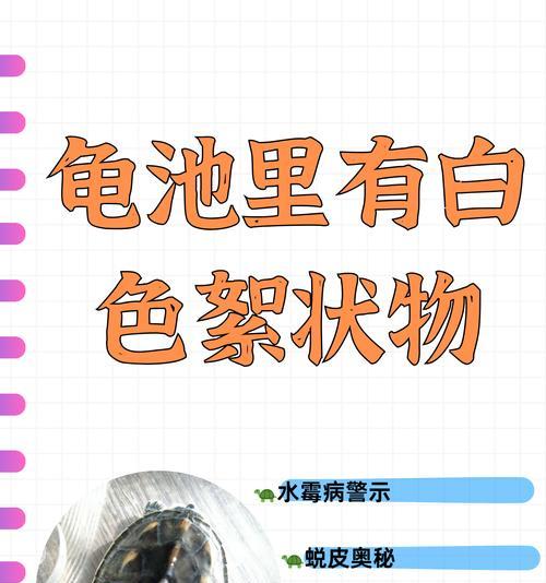 文章详情图片
