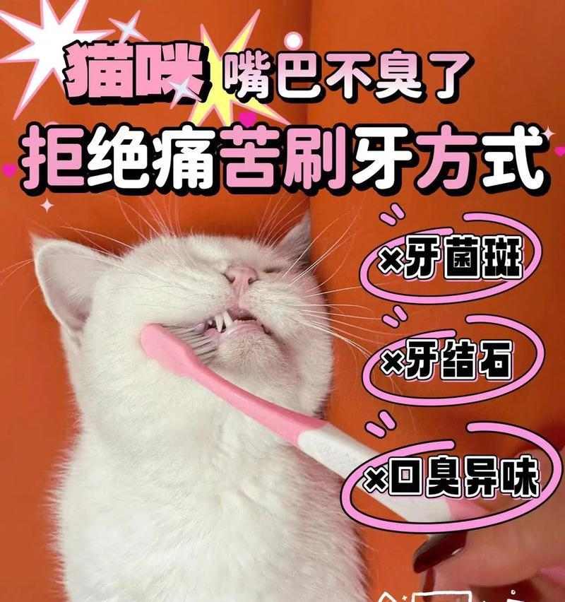 文章详情图片