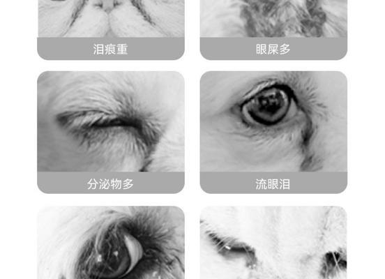 文章详情图片