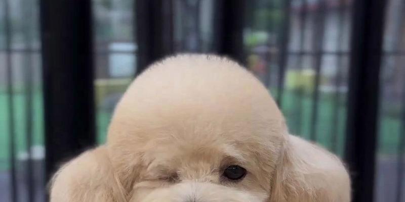 文章详情图片