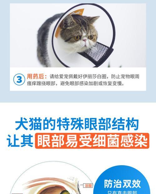 文章详情图片