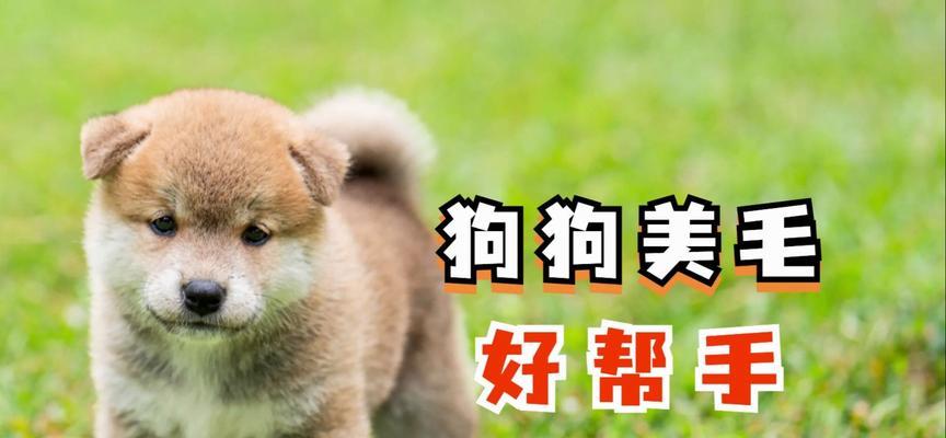 文章详情图片
