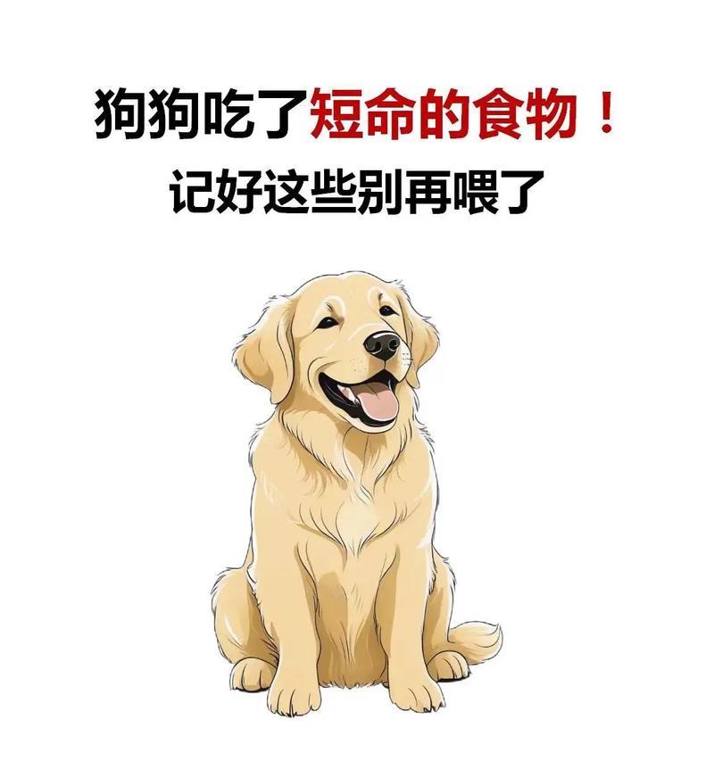 文章详情图片