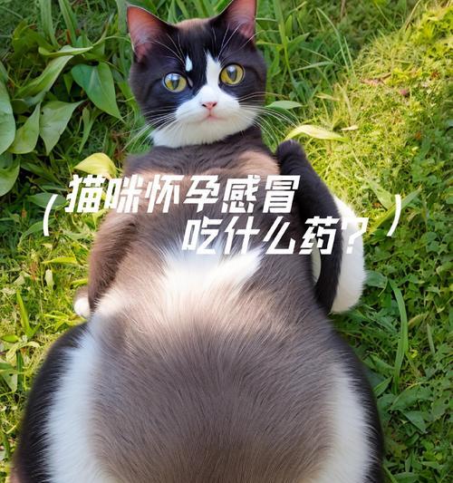 文章详情图片