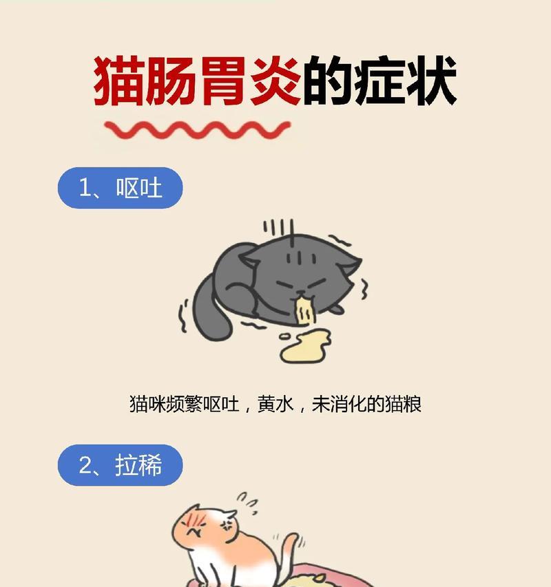 文章详情图片