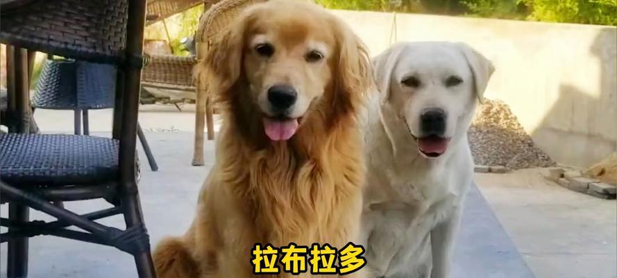 文章详情图片