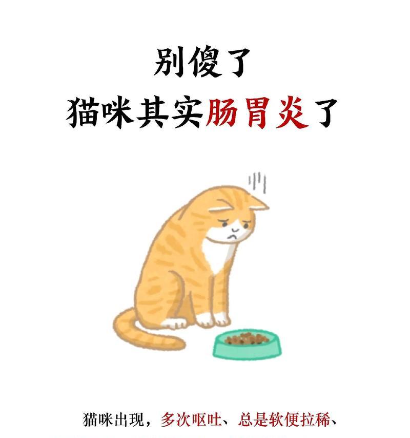 文章详情图片