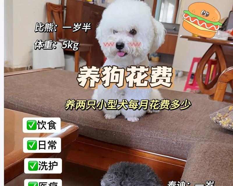 文章详情图片
