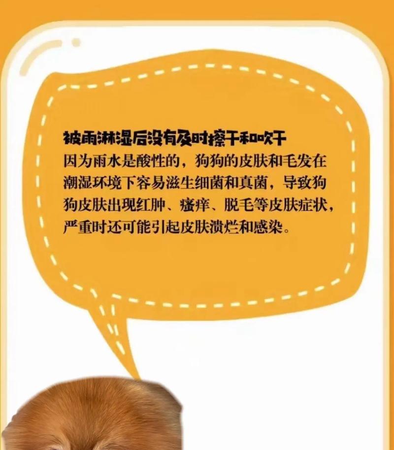 文章详情图片