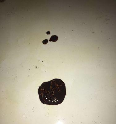 文章详情图片