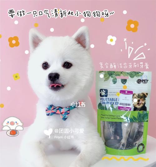 文章详情图片