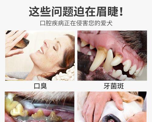 文章详情图片
