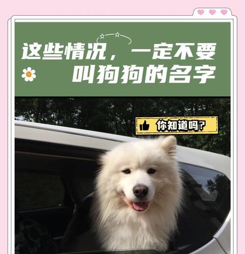 文章详情图片