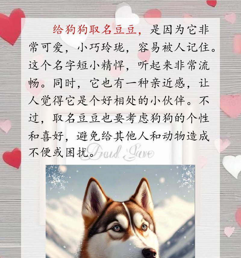 文章详情图片