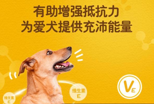 文章详情图片