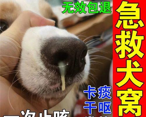 文章详情图片